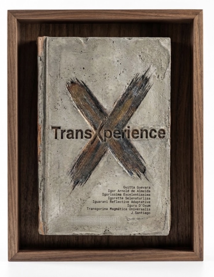 eXclusive transXperience art object